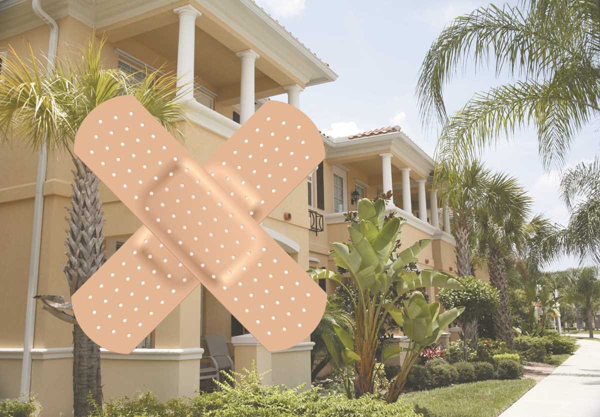 Not Just a Pretty Face