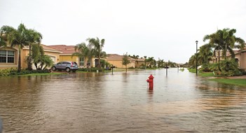 Storm Maintenance and Cleanup