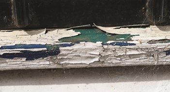 Lead Paint and Other Toxins Lead Paint and Other Toxins