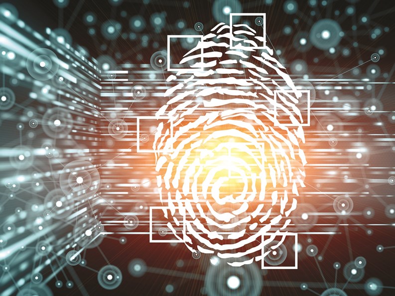 Maintaining Common Area Safety & Security